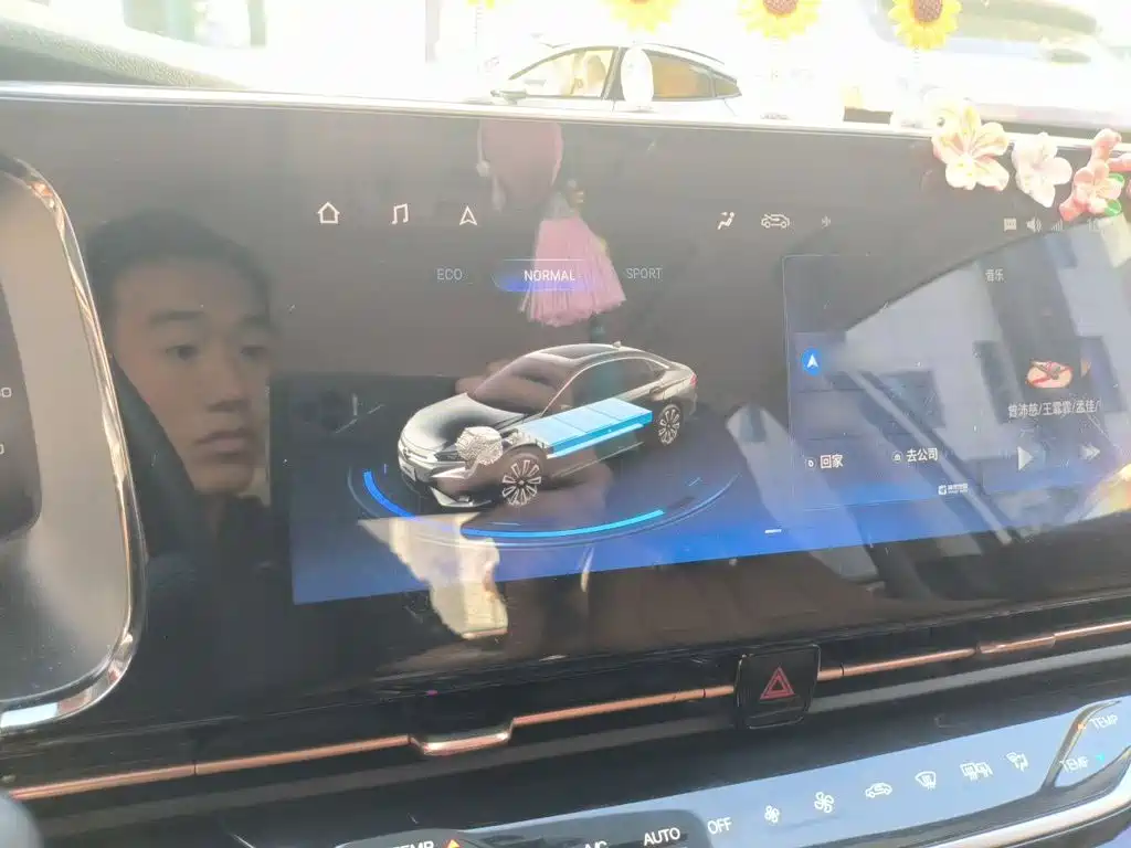 Aion S 2020 2019 Charm Evo 530