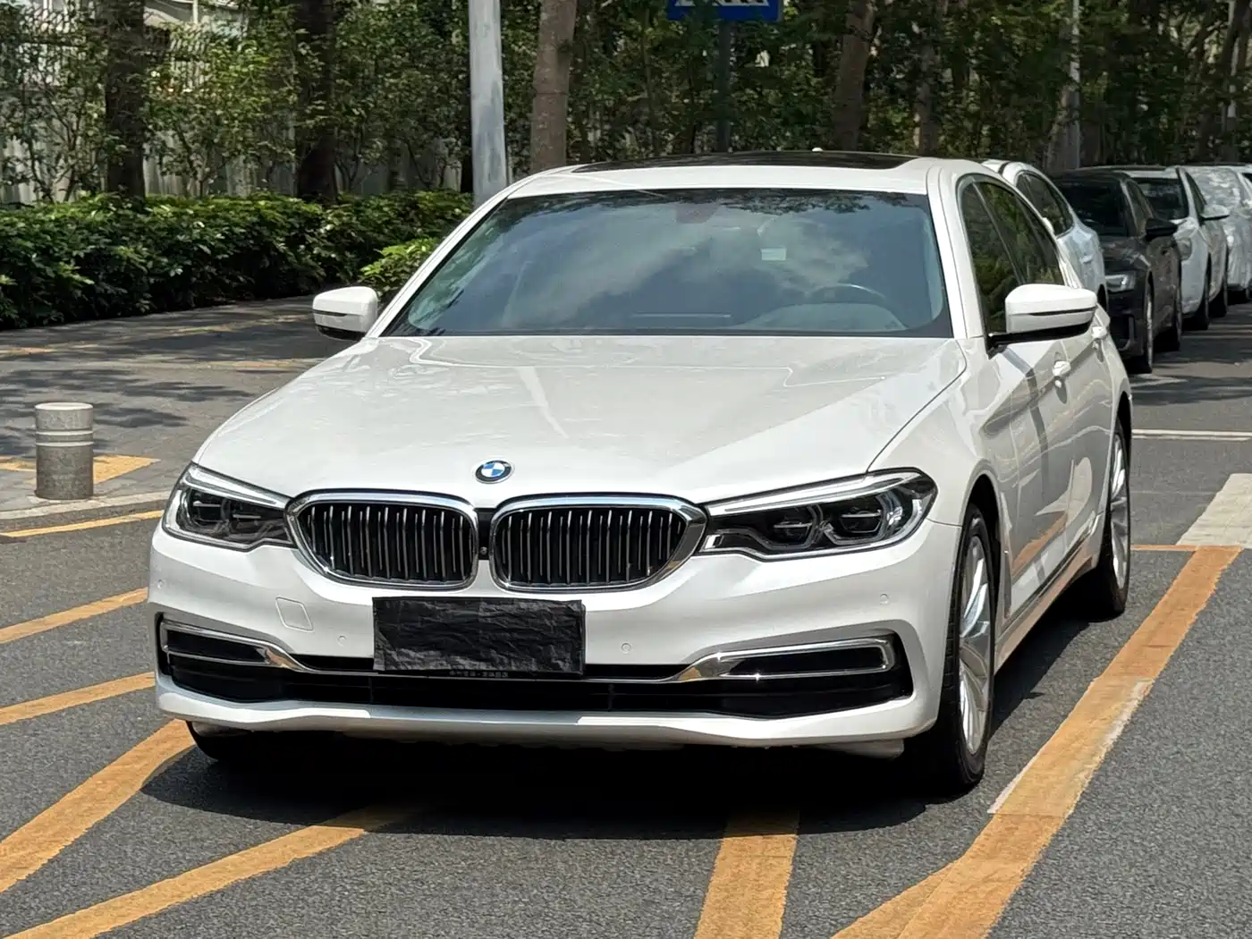 BMW 5 Series 2020 530Li Premium Luxury Package фото 4
