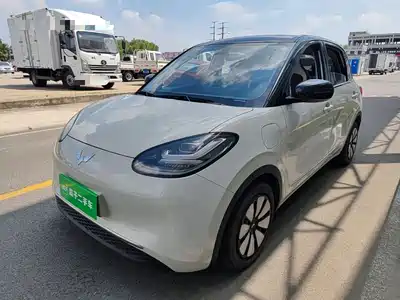 Wuling Bingo
