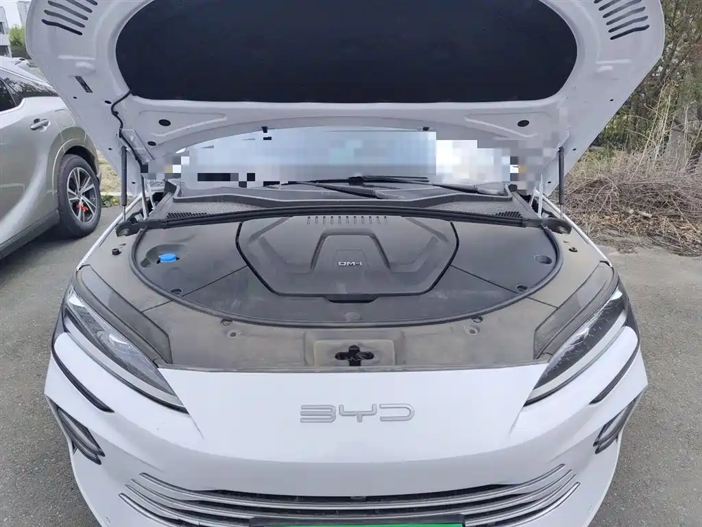 BYD Song PLUS PHEV 2024 Glory Edition DM-i 110km Flagship фото 11
