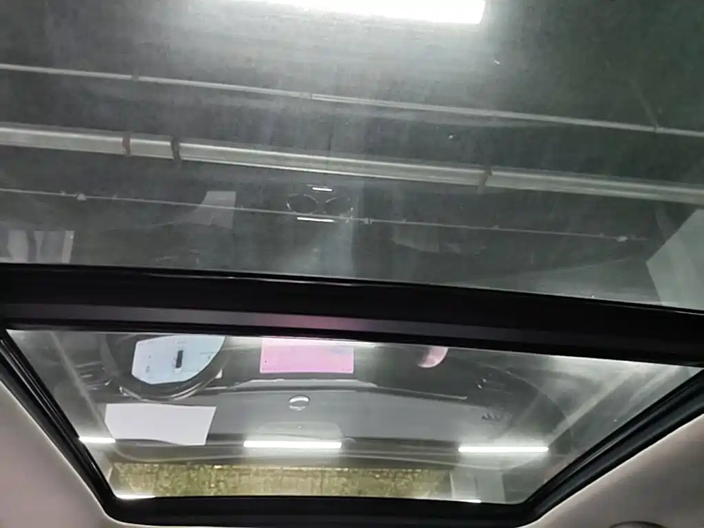 Leapmotor C11 2021 2021 Model Premium Edition