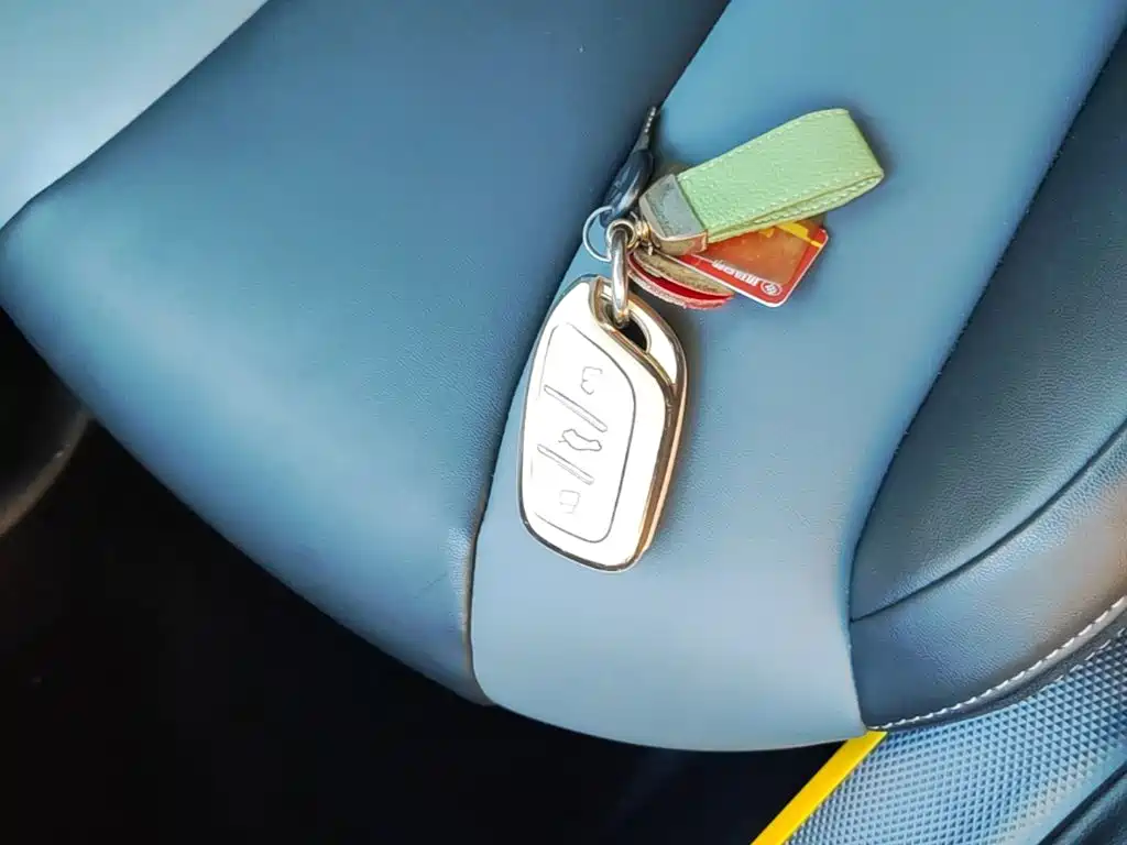 Roewe Kaiwei CLEVER 2023 2022 311km Vitality Bobo Edition