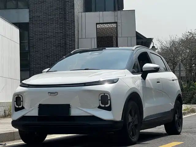  Geely Geometry Geely Geometry E Firefly 2022 401KM Thunder Tiger 4-Seater