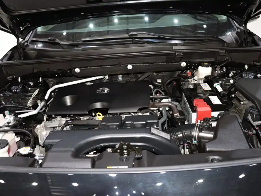 Toyota Wildlander 2021 2021 2.0L CVT 4WD Luxury Edition