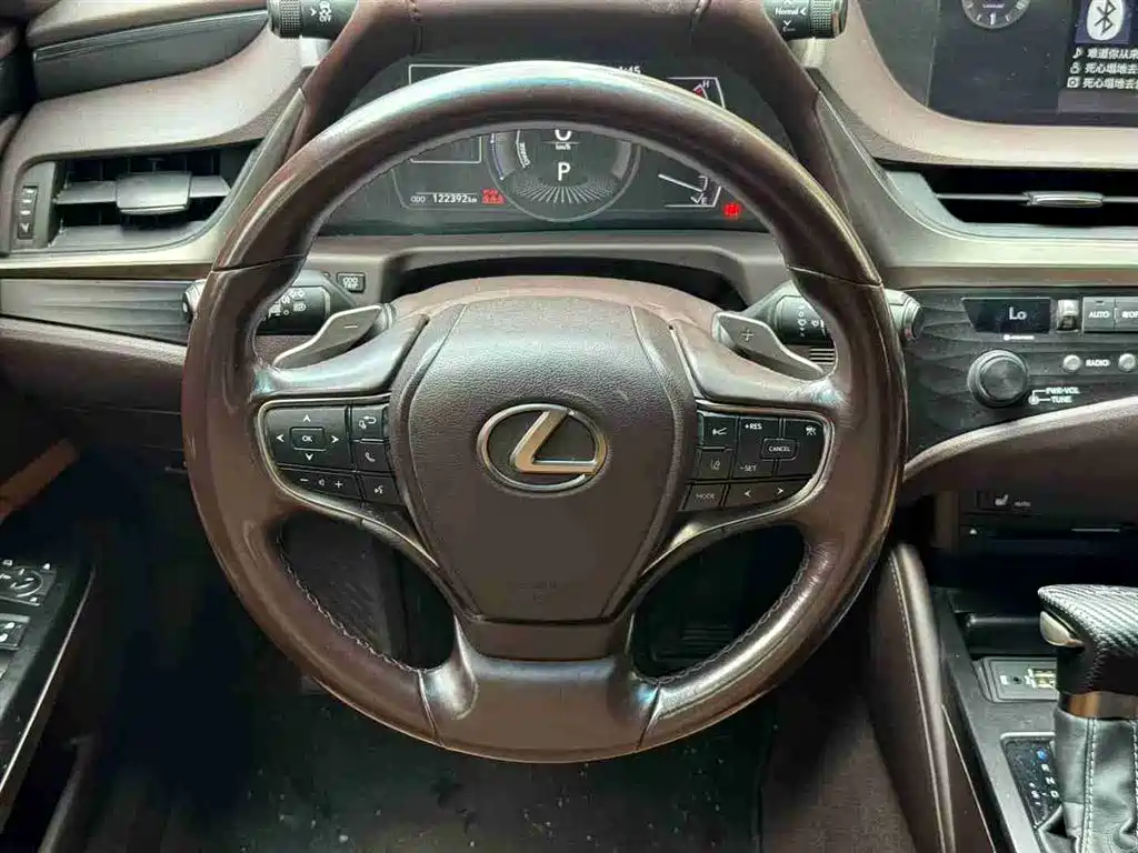 Lexus ES 2020 Model 300h Excellence Edition China V фото 6
