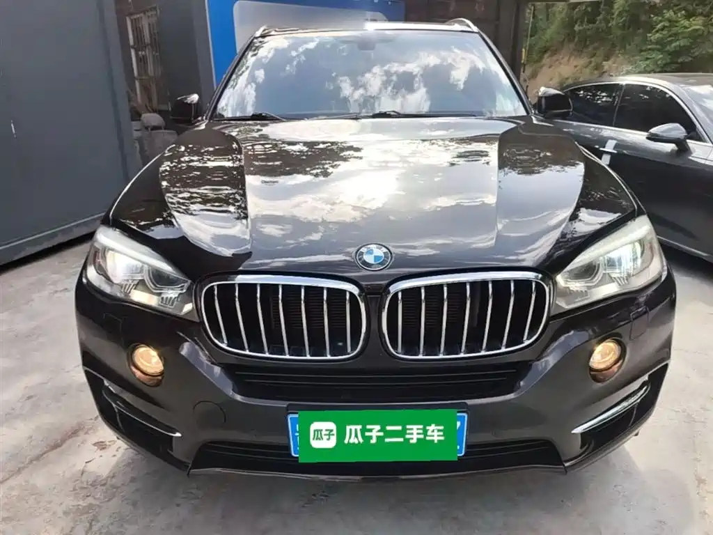 BMW X5 (Import) 2017 xDrive35i Elegance фото 3