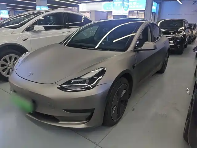 Tesla Model 3 Задний привод