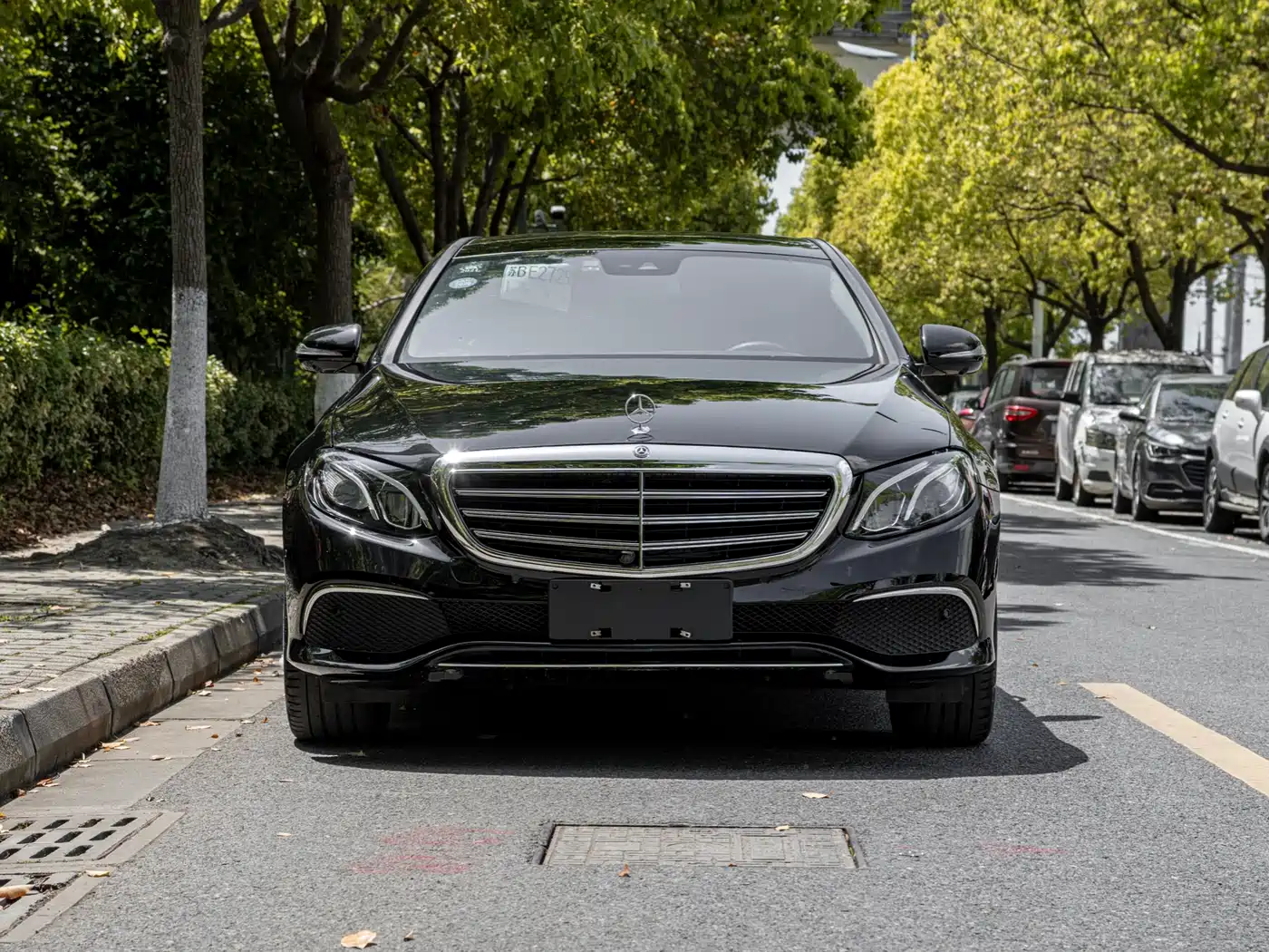 Mercedes-Benz E-Class 2016 E 300 L Sport Luxury фото 2