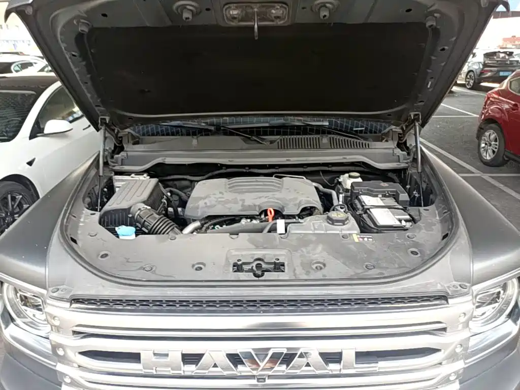 Haval H9 2024 2024 2.0T Gasoline AWD Extreme Edition