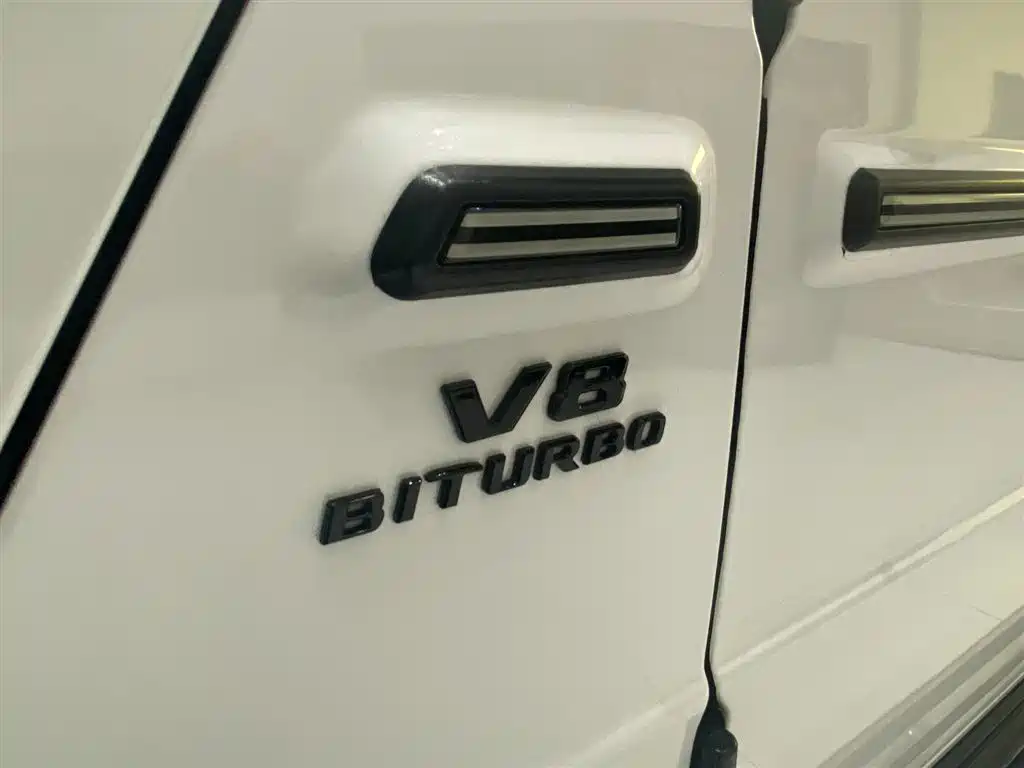 Mercedes-Benz G-Class 2019 G 500 фото 4