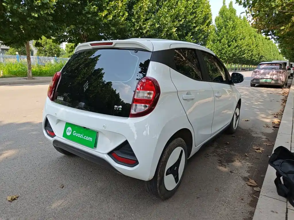 JMCG New Energy Little Kirin 2025 2024 201km Comfort Model