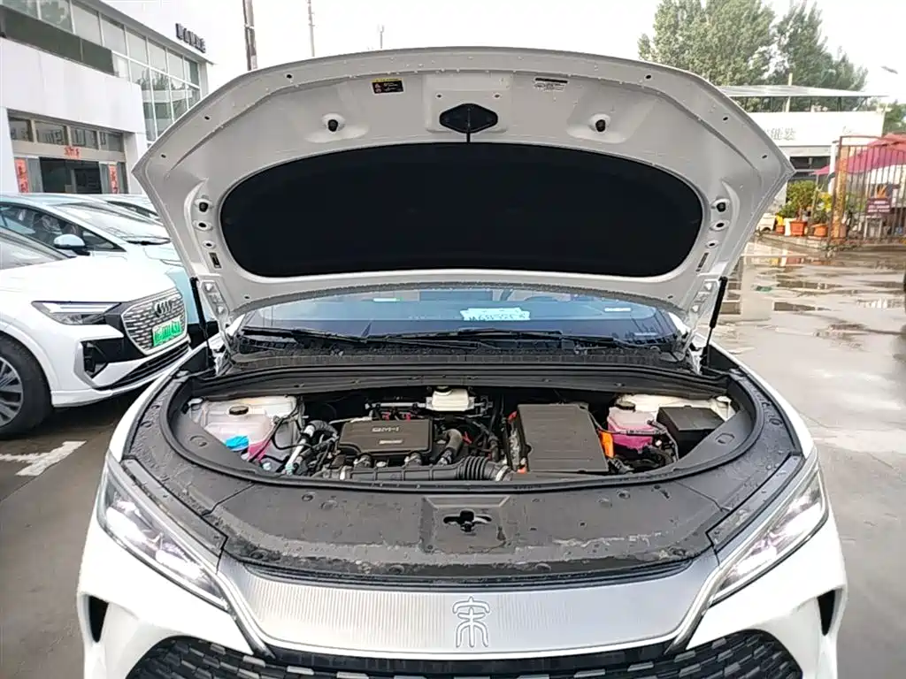 BYD Song L DM-i 2025 Model Smart Drive Edition 112km Leading Type фото 20