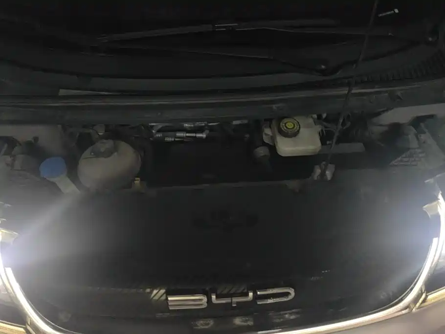 BYD Dolphin 2021 2021 Model 405km Fashion Edition