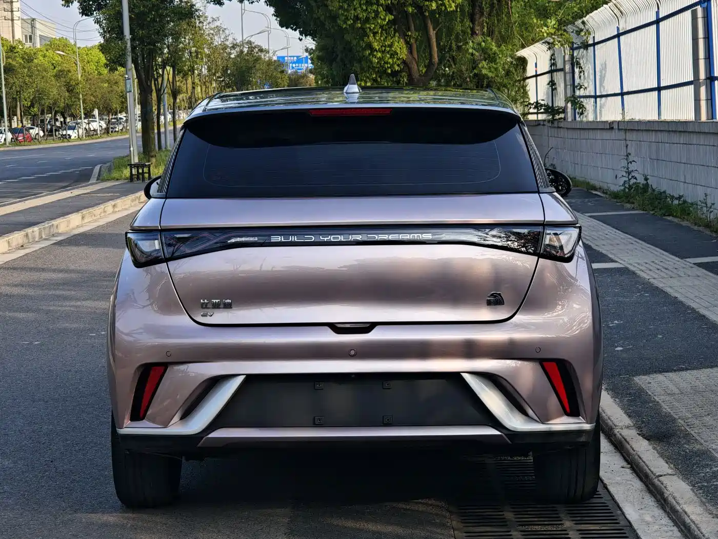 BYD Dolphin 2021 Model 405km Fashion Edition фото 4