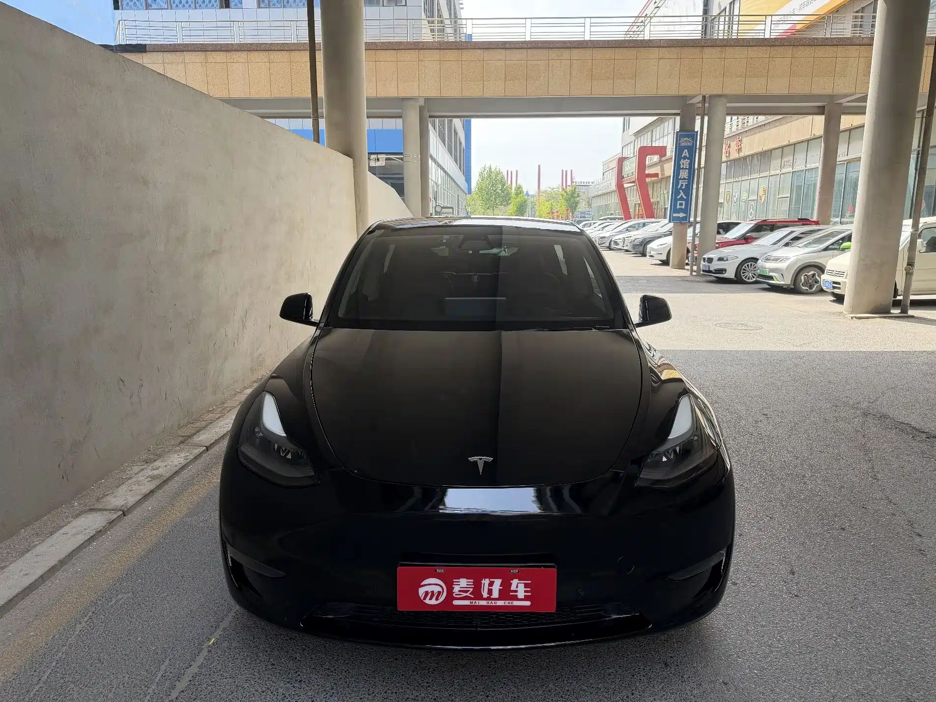 Фото 6 - Tesla Model Y