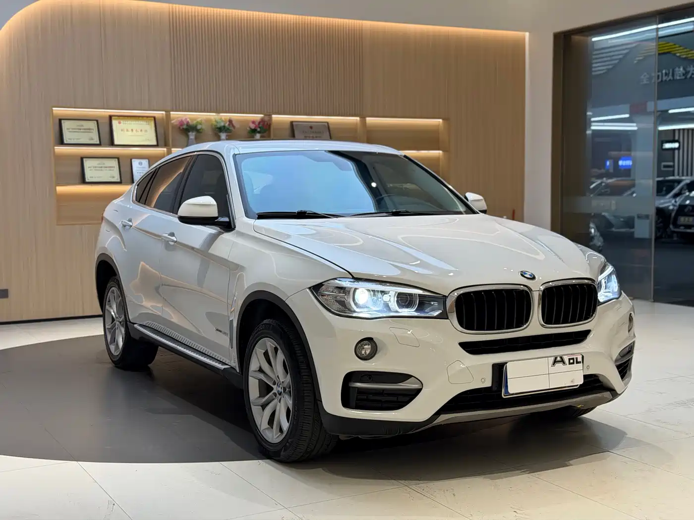 BMW X6