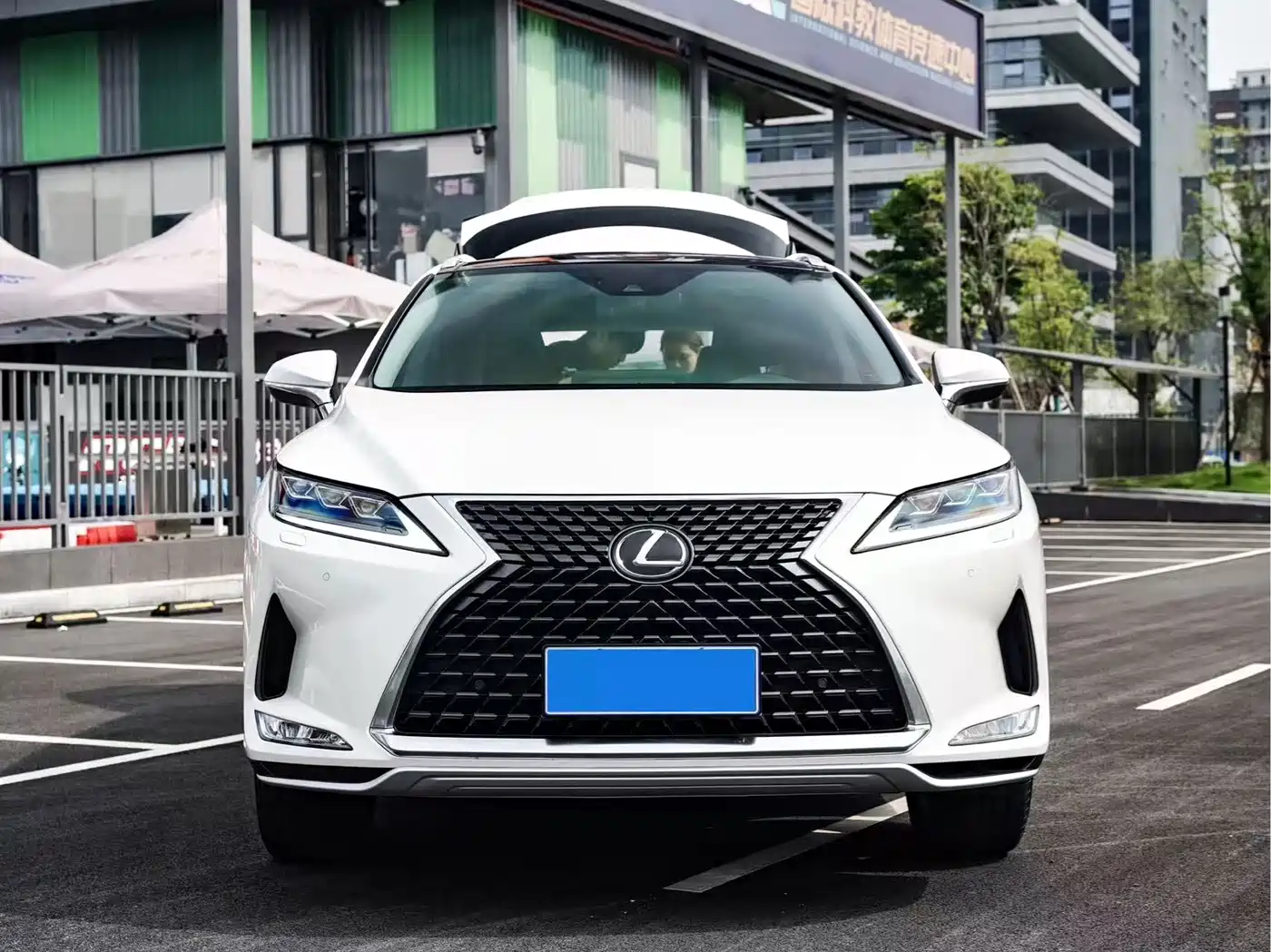 Lexus RX 2020 300 4WD Elegance Edition China VI фото 2