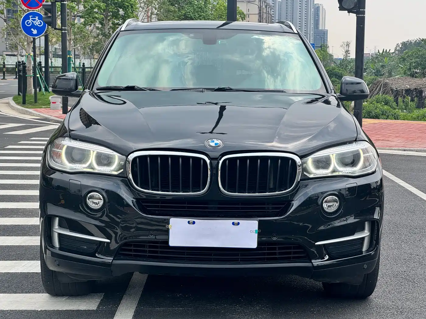 BMW X5 (Import) 2014 xDrive35i Elegance фото 2