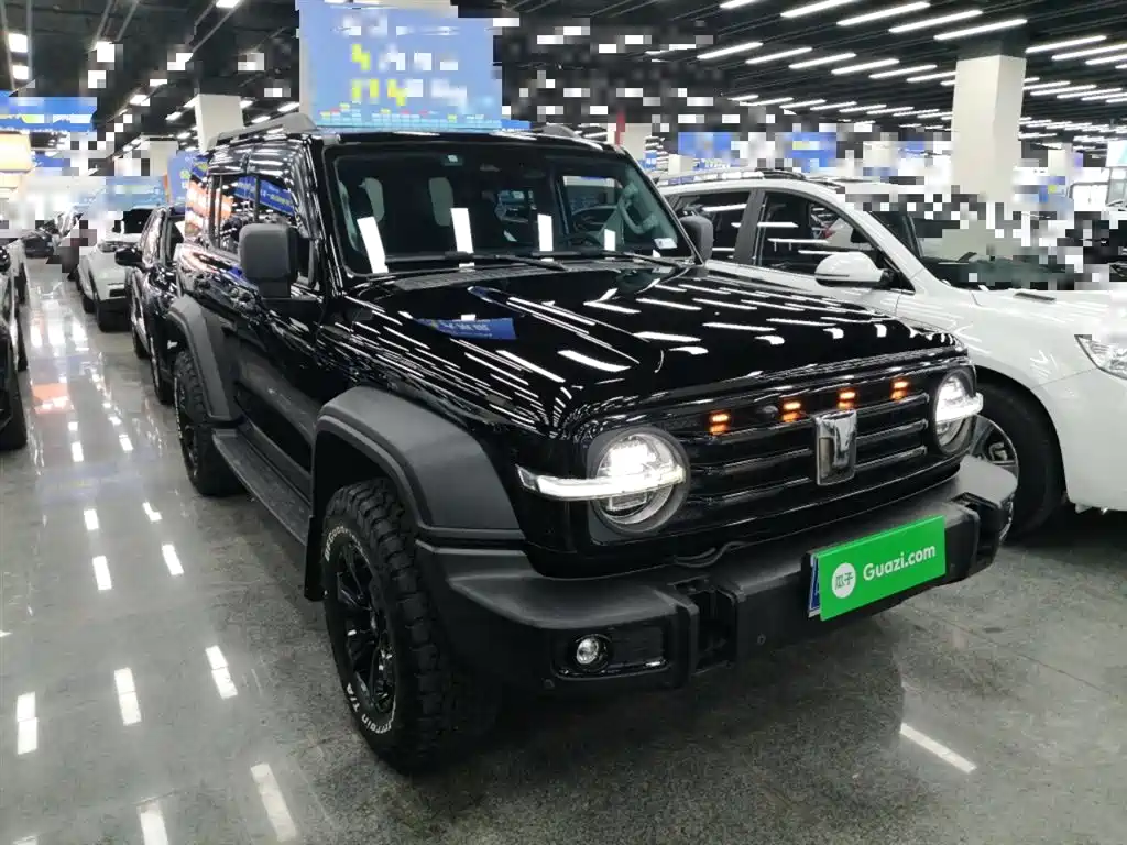 Tank 300 2023 Off-Road Edition 2.0T Conqueror фото 22