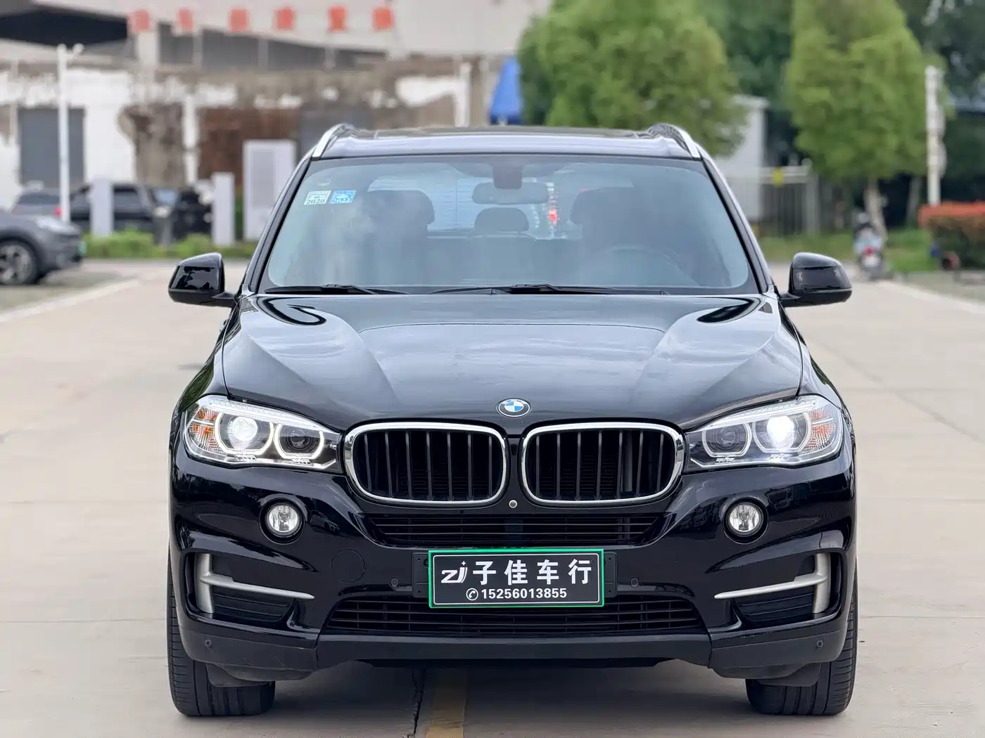 BMW X5 (Import) 2017 xDrive35i Elegance фото 2