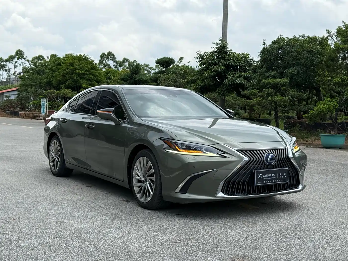 Lexus ES 2018 300h Executive Edition China V фото 3