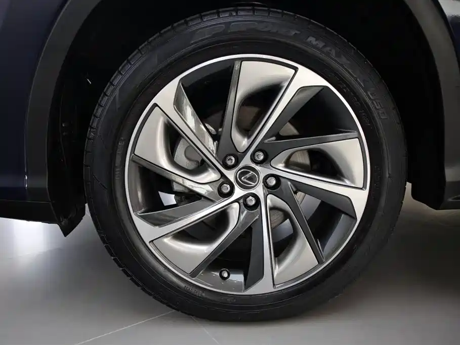 Lexus RX 2016 300 4WD Elegance Edition (China V) фото 17