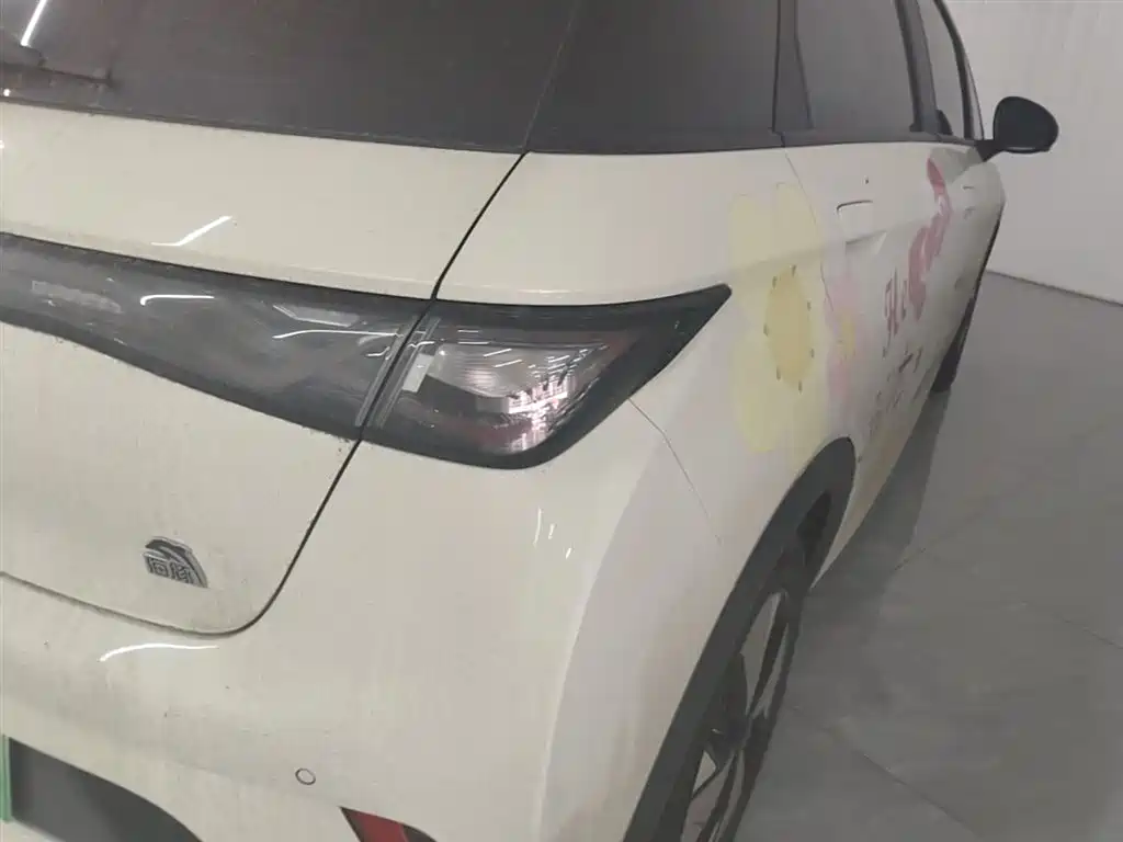 BYD Dolphin 2023 420km Fashion Edition фото 8