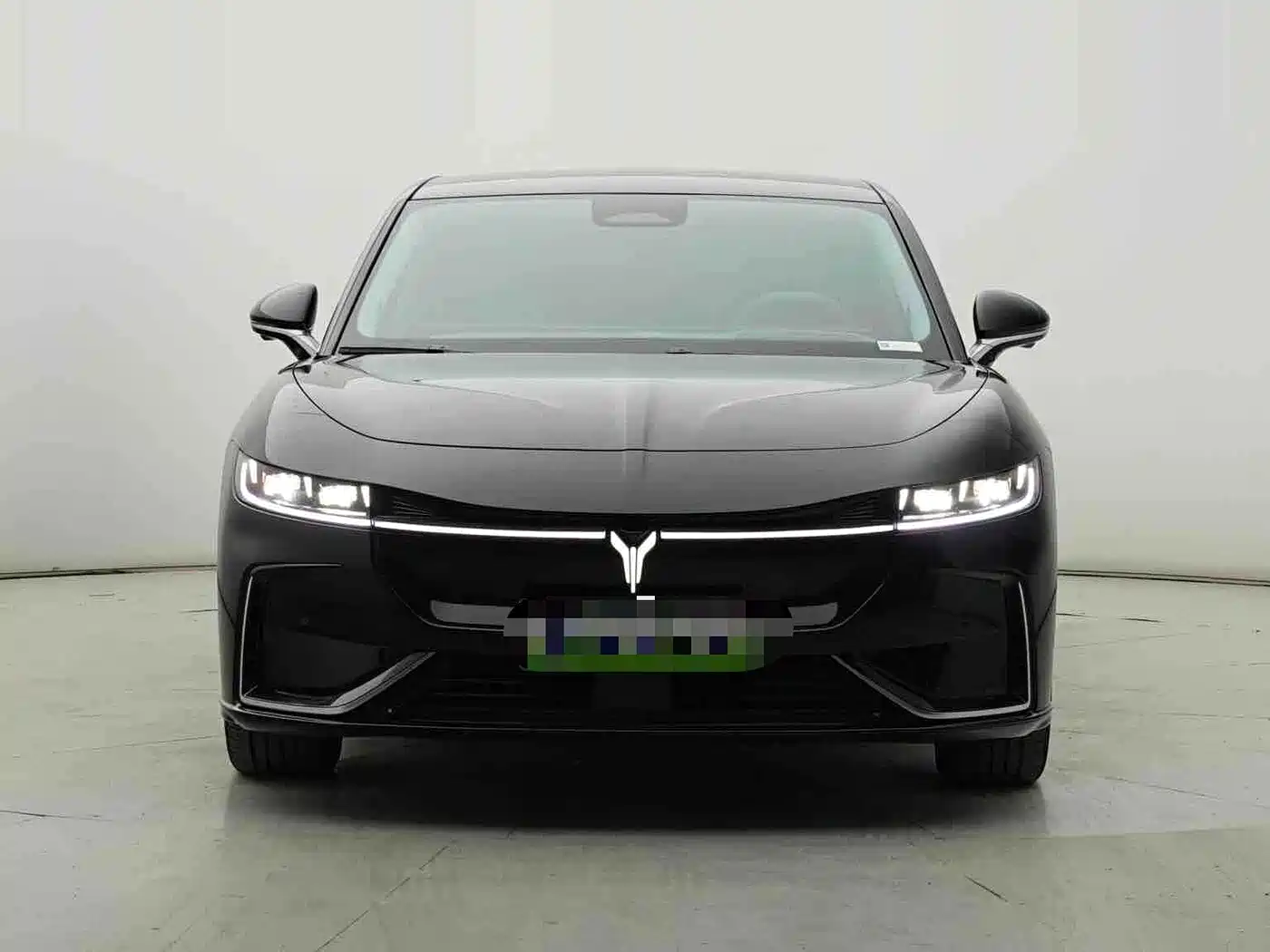 Voyah Passion 2024 2023 4WD Flagship Edition