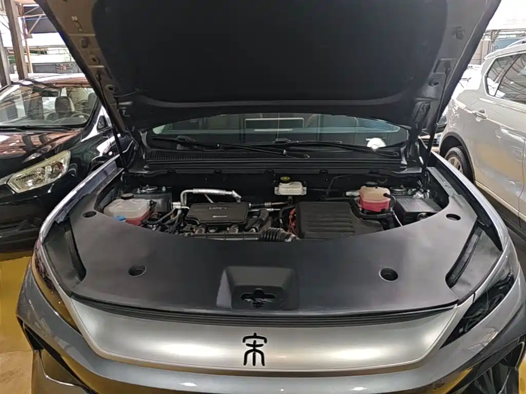 BYD Song Pro New Energy 2025 2nd Gen DM-i 115KM Excellence фото 20