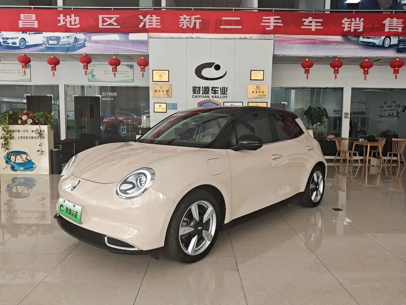 Ora Good Cat 2022 2022 400km Standard Range Premium LFP