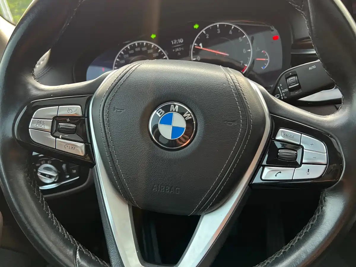 BMW 5 Series 2019 525Li Luxury Package фото 14