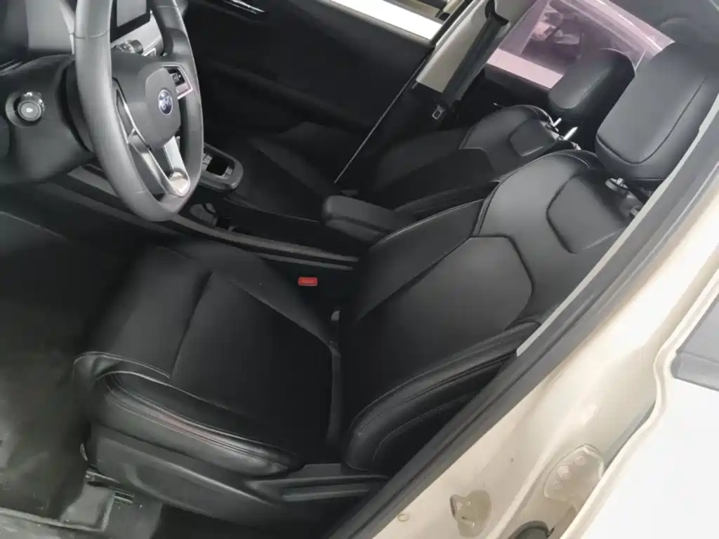 BYD e2 2020 2019 Standard Range Yue·Standard Model