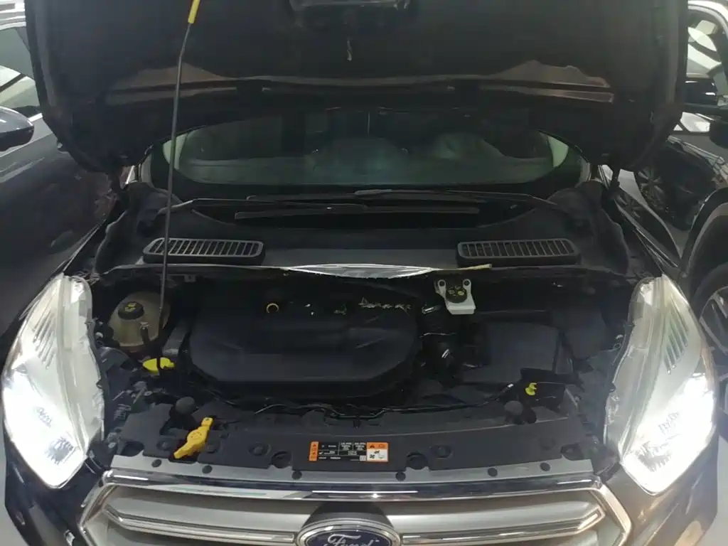 Ford Kuga 2017 2017 EcoBoost 245 AWD Luxury