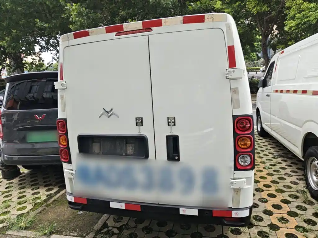 Singulato Gonow Shuai Ling 2022 2023 Standard Range 41.93kWh Tianjin Hengtian