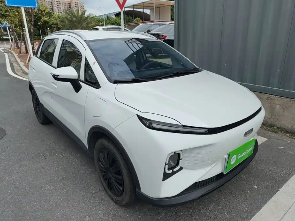 Geely Geometry E Firefly 2024 2024 Model 301km Starlight