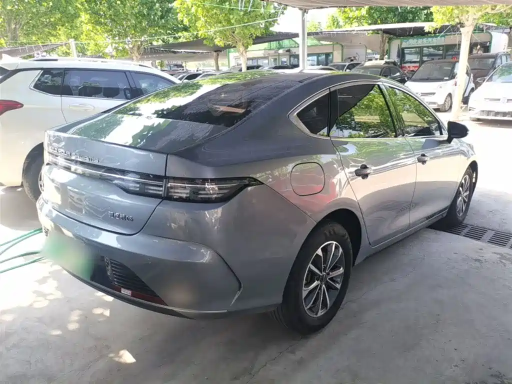 BYD Destroyer 05 2024 Glory Edition DM-i 55KM Luxury фото 7