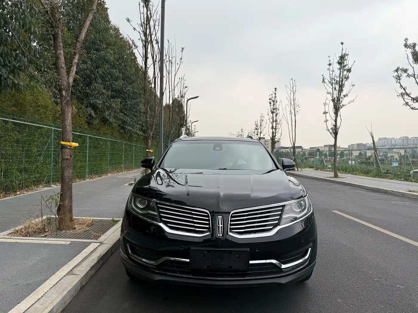 Lincoln MKX 2017 2015 2.0T AWD Elegance Edition