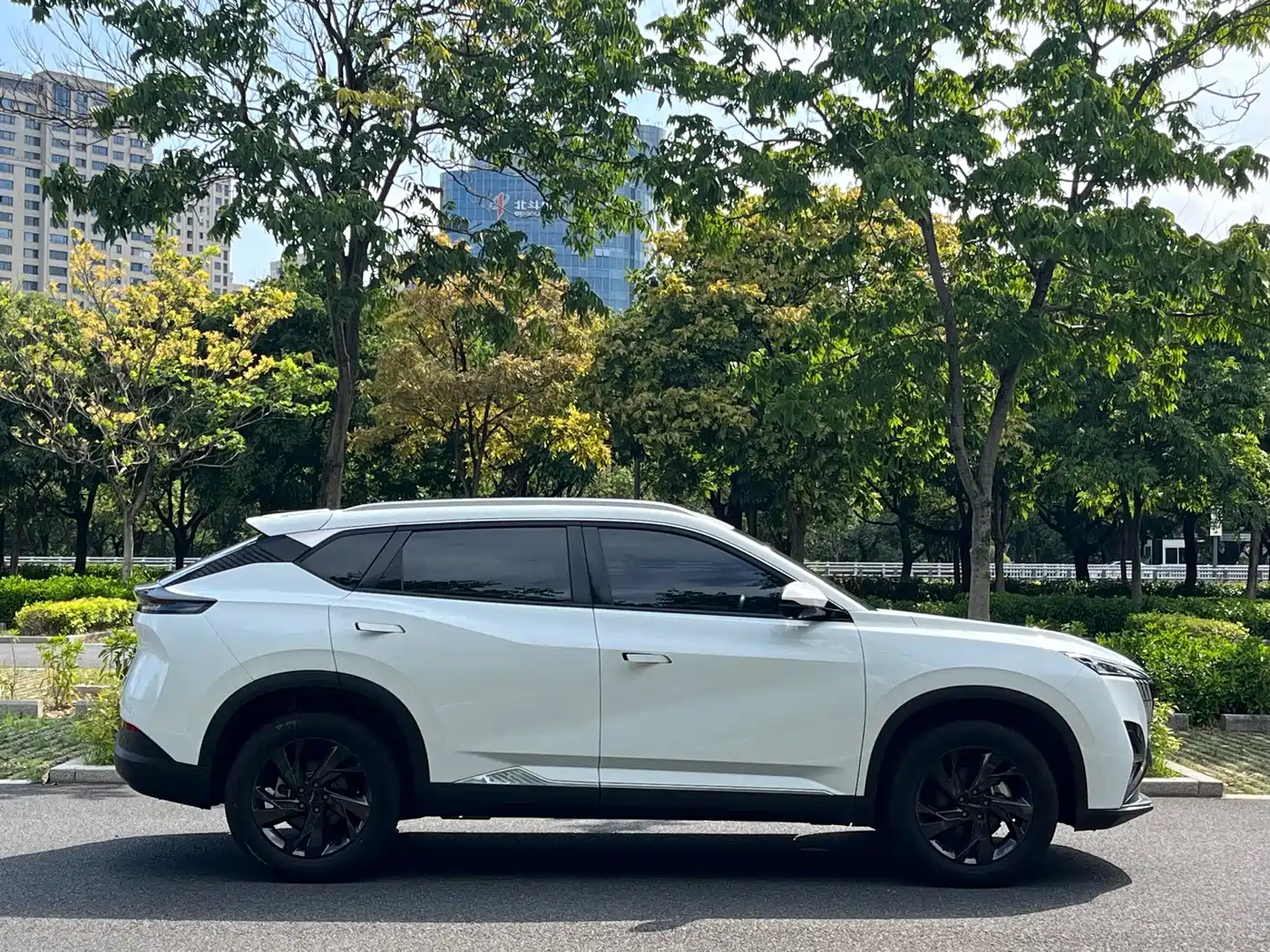 Dongfeng Aeolus Haohan 2024 2025 1.5T Luxury