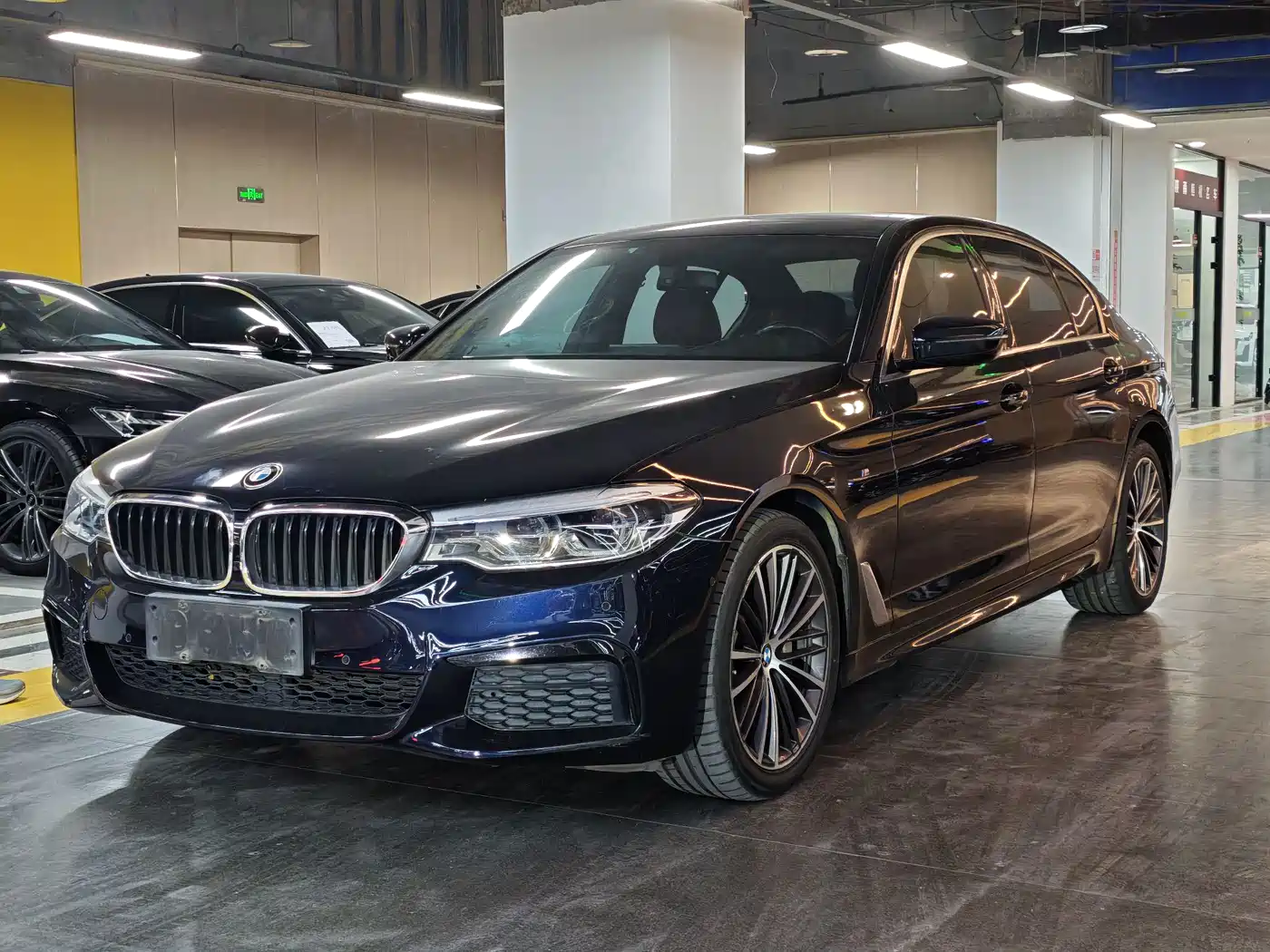 BMW 5 Series 2020 530Li Leading M Sport Package