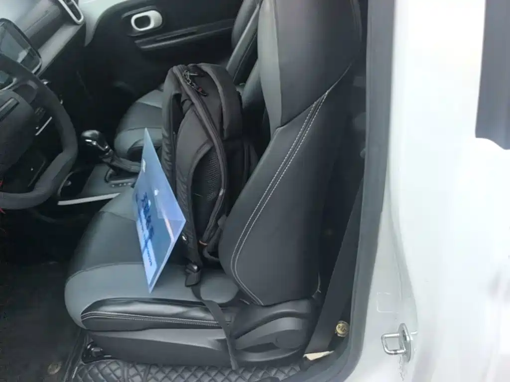 Roewe Kaiwei CLEVER 2023 2022 311km Vitality Bobo Edition