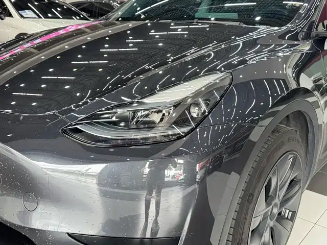 Tesla Model Y 2024 Rear-Wheel Drive Version — фото 4