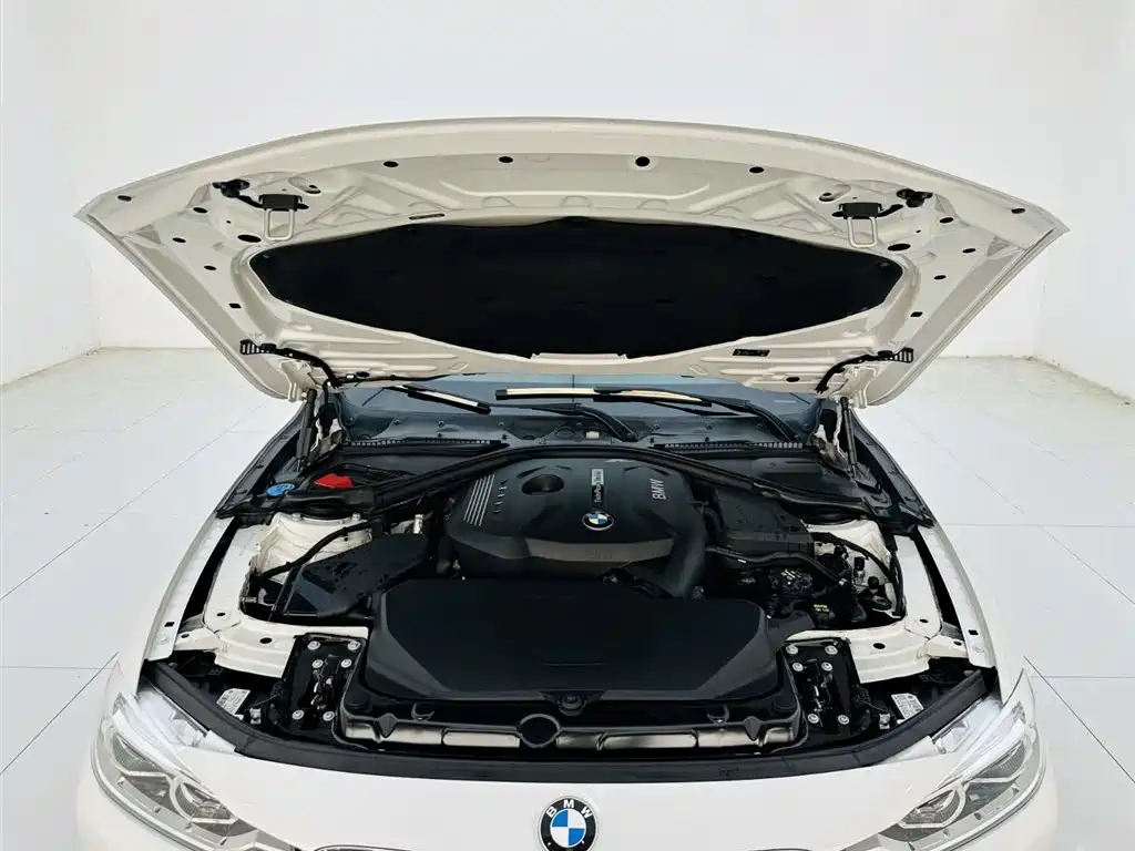 BMW 3 Series 2018 320Li Fashion Style фото 25