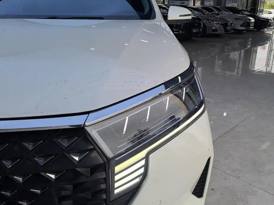 2022 Venucia D60