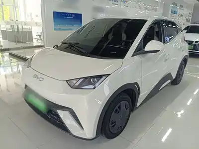 BYD Seagull