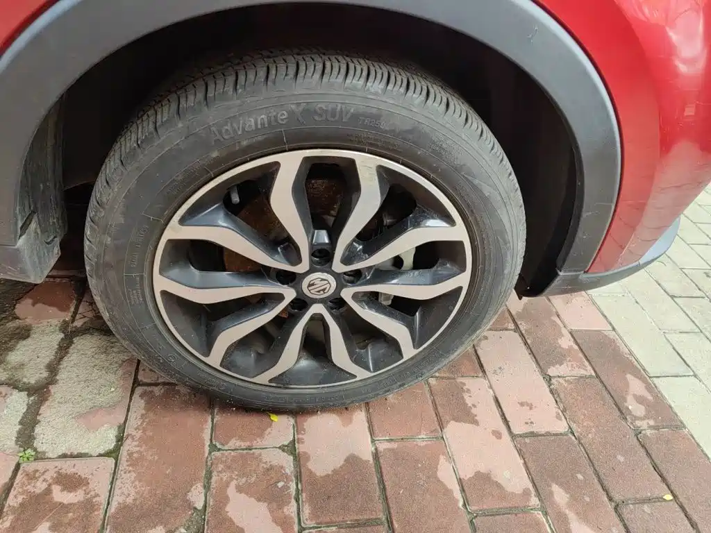 Фото 24 - MG Roewe RX5