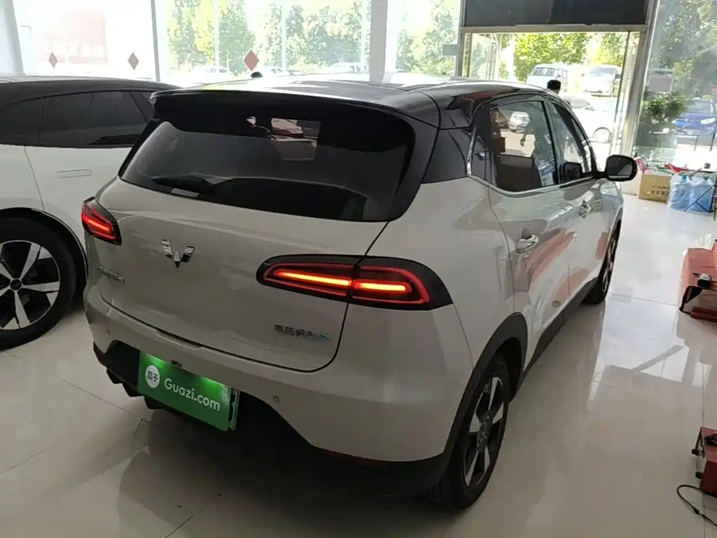 Wuling Motors Wuling Binguo PLUS 2025 2024 Model 330km 5-Seater