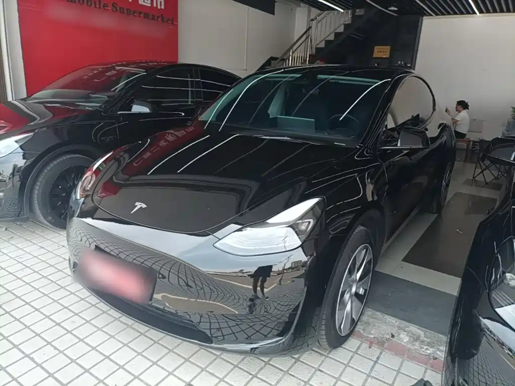 Tesla Model Y 2022 Rear-Wheel Drive Version
