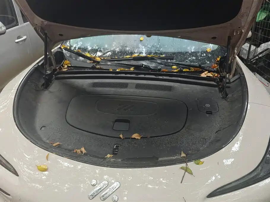 ZHIJI AUTOMOBILE ZHIJI LS6