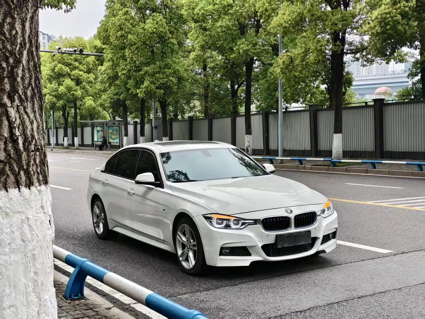 BMW 3 Series 2019 320Li M Luxury Package фото 3