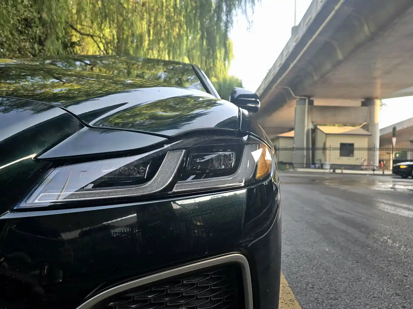 JAGUAR XFL